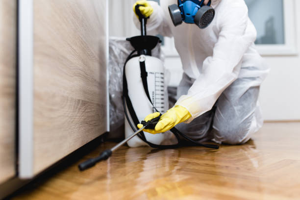 Reliable Paulden, AZ Pest Control Solutions