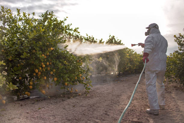 Best Commercial Pest Control Services  in Paulden, AZ